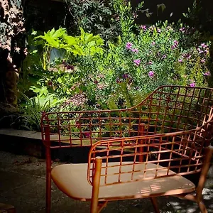Appartamento Loquat House Nel Giardino Segreto In Zona Vaticano, Roma